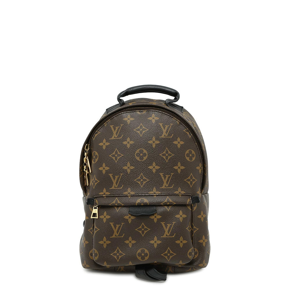 Louis Vuitton Monogram Palm Springs Backpack Bag